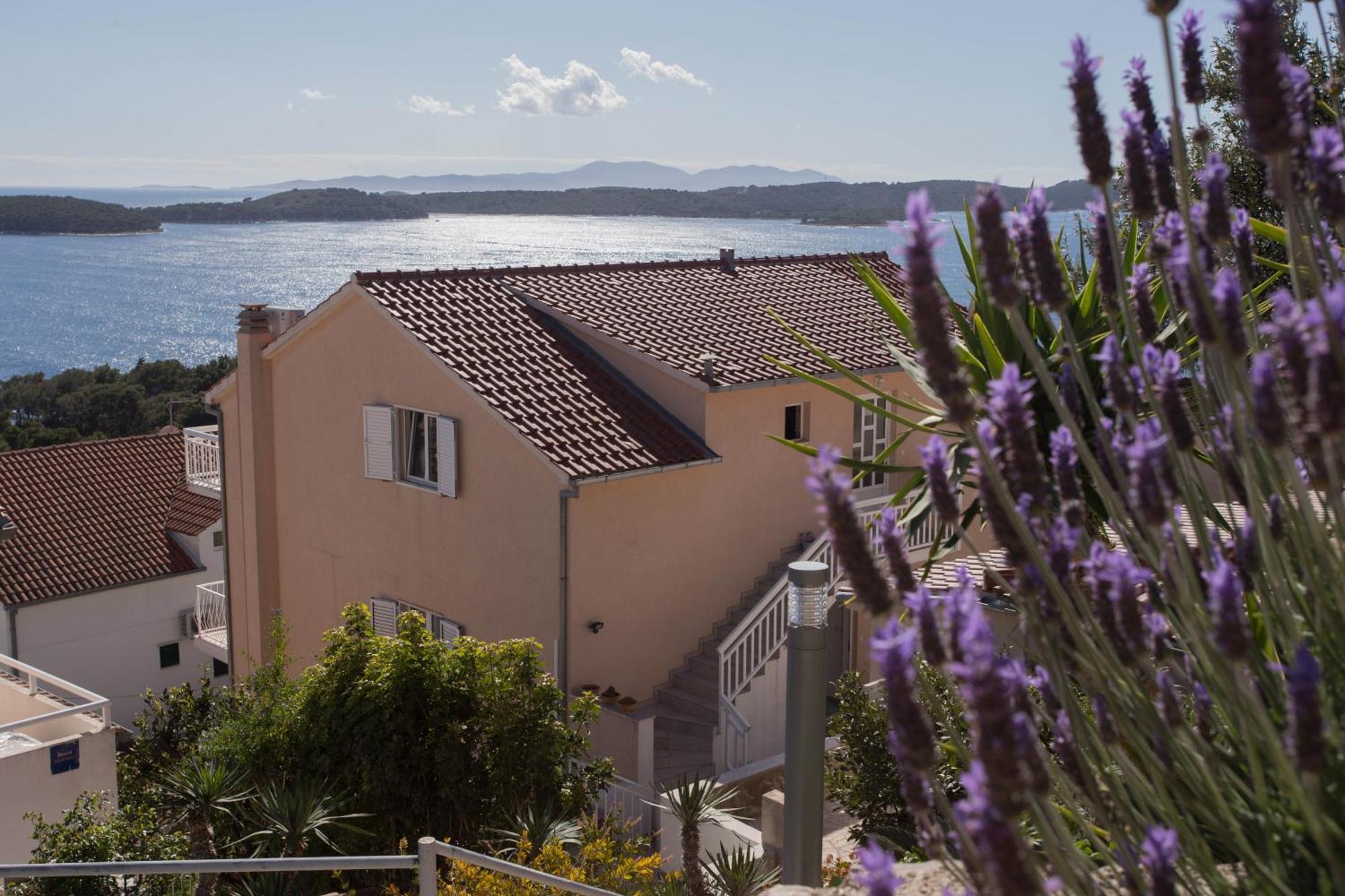 Anita Hvar Town