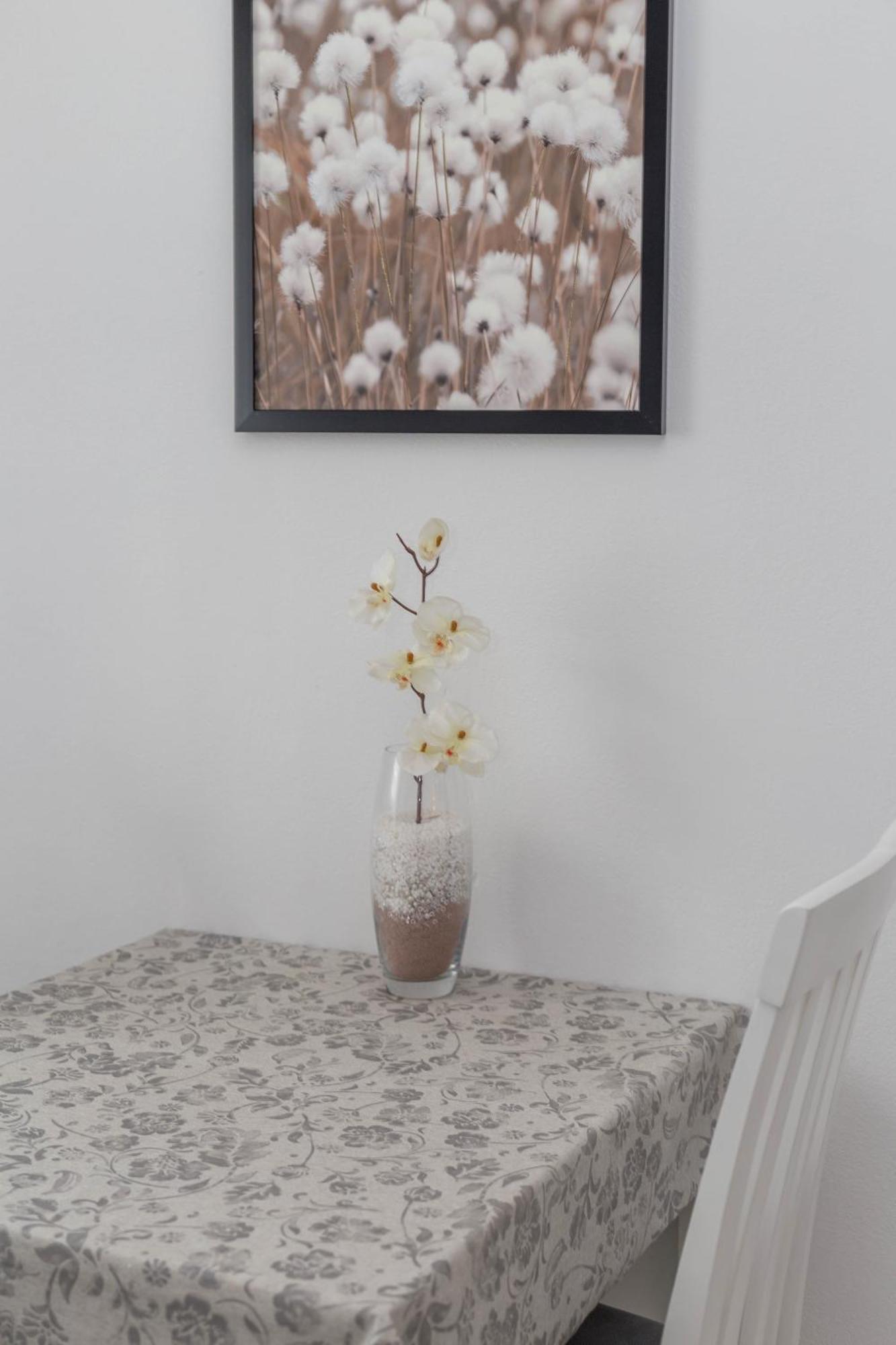 Apartament Anita